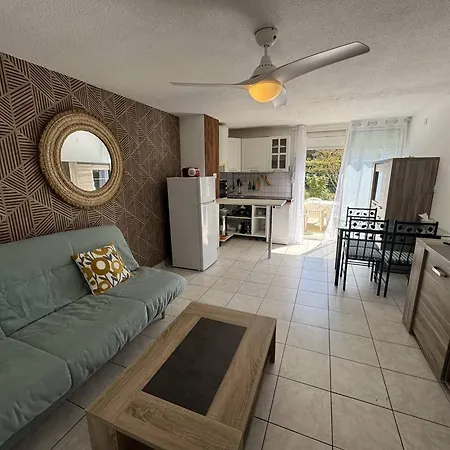 Avec Terrasse Et Parking Au Cap D'agde - Fr-1-749-95 Apartment *
