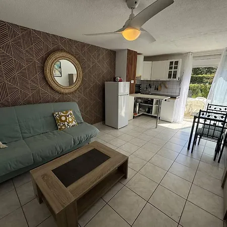 Avec Terrasse Et Parking Au Cap D'agde - Fr-1-749-95 Agde