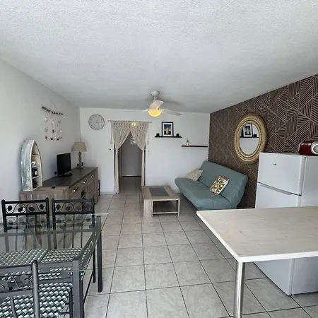 Apartment Avec Terrasse Et Parking Au Cap D'agde - Fr-1-749-95
